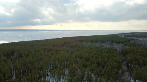 Pine Forest And Frozen River