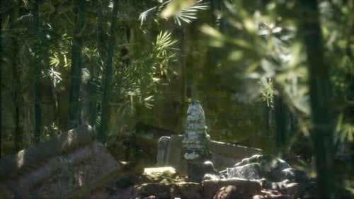 Ruins of Famous Temple in Cambodian Angkor Wat Area