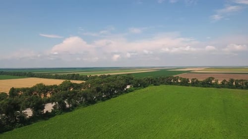Aerial View of Farmland Under Blue Sky
