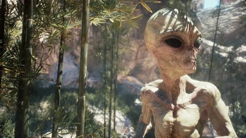 Ein Alien auf seinem Heimatplaneten