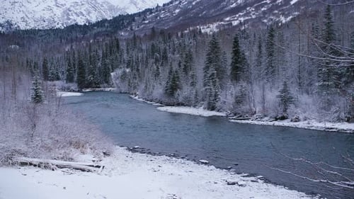 Frozen river and Forest in Alaska.