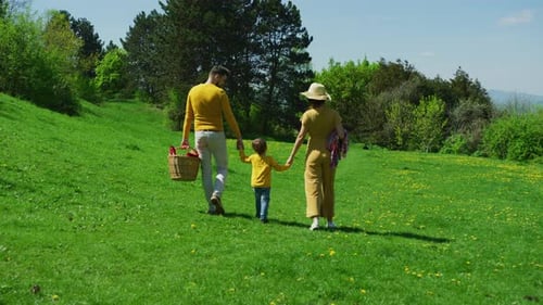 Family Stroll Through Green Meadow for Picnic