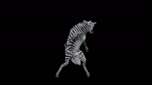 Dancing Zebra 3D Character Animation