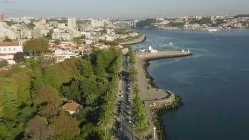 Aerial View of Coastal City with Palm Tree Road