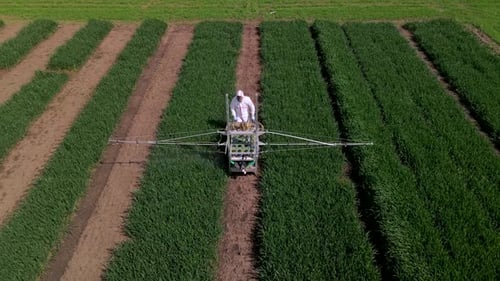 Toma aérea en cámara lenta de un hombre irreconocible con traje de protección blanco lanzando productos químicos al trigo