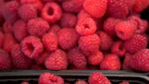 Viele reife Himbeeren auf dem Markt Nahaufnahme. Die Kamera bewegt sich. Zeitlupe.