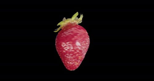 Red Strawberry Rotates Alpha Channel