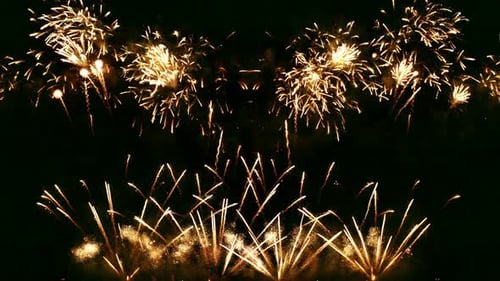 Golden Fireworks Exploding in a Night Sky