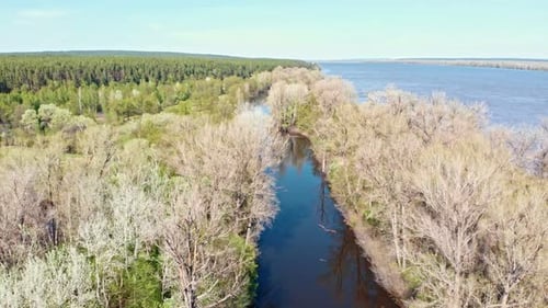 Blick auf den Fluss zwischen dem Feld mit verschiedenen Bäumen