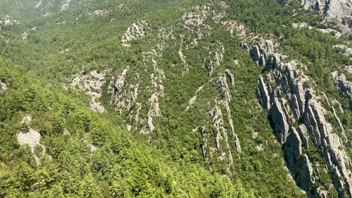 Top view of a beautiful green forest with trees and high rocky mountains. High quality video 4k