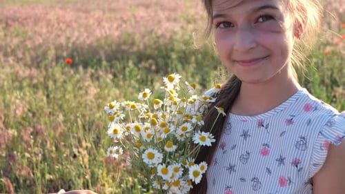 A little girl is holding a bouquet of wild flowers. A walk in nature.