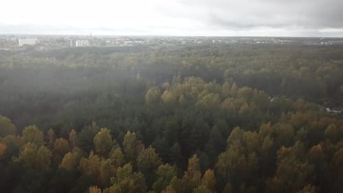 Pluie d'automne sur le parc Mazurino 03