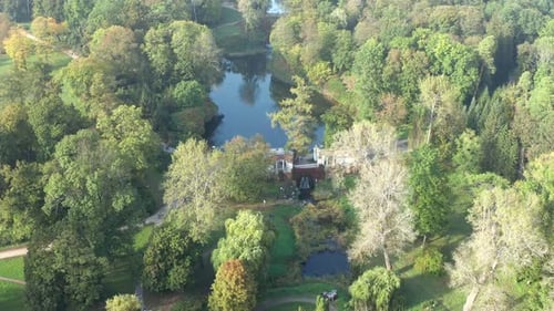 Beautiful flight over the park in summer. Trees with green leaves.