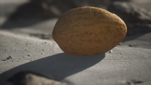 Melon du désert sur la plage de sable
