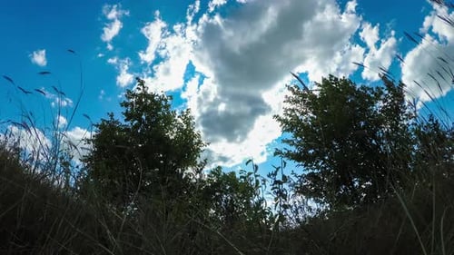 Bottom View on Moving Clouds in Blue Sky Above Landscape Fields with Trees. Timelapse.