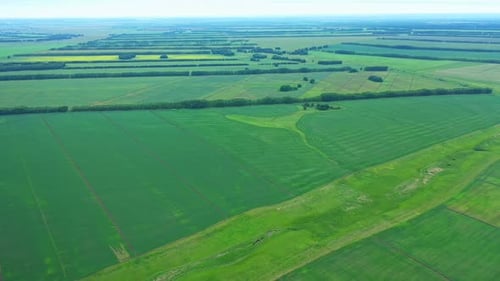 Aerial View of Agriculture Field in Countryside.