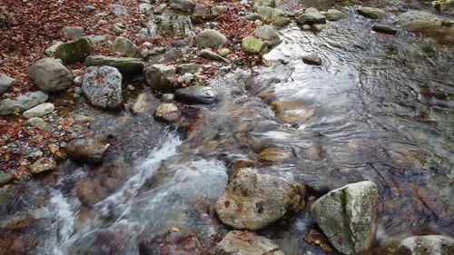River Water Stream in the Mountain at Autumn Fall Season Red Foliage