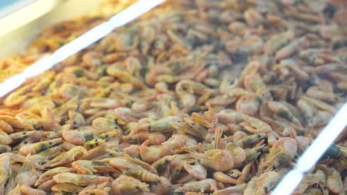 Frozen shrimps in freezer box at store