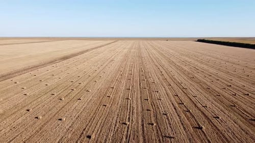 Mown Steppe Field with Cylindrical Sheaves of Hay in the Distance Blue Sea on the Horizon on a Sunny