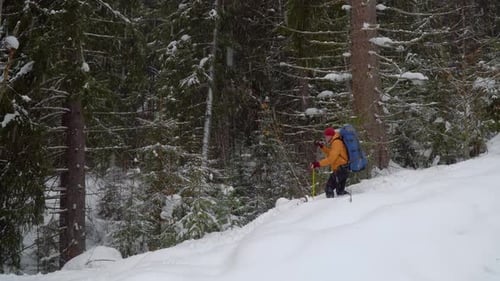 Backpacker Hiking in Winter Forest