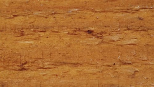 Wood Timber Construction Material for Background and Texture in Shop