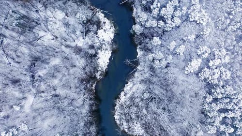 River and forest in winter. Aerial view of winter nature