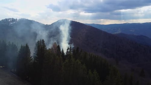 Epic Fir Wildfire in Mountain Forest Disaster