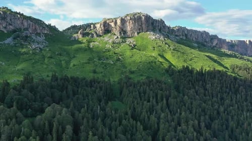 Aerial View of Forest and Rocky Mountain Peaks