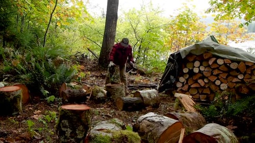 Chopping firewood in a rainforest in BC with an axe.
