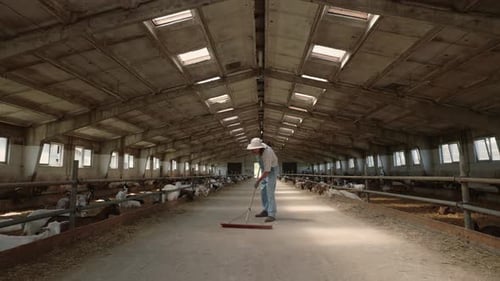 Young Worker Sweeping with Broom Goat Farm