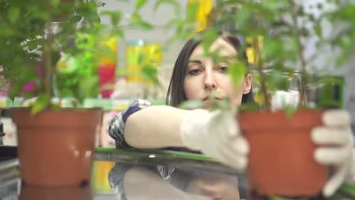 Pretty Woman Store Worker and Potted Garden Plants