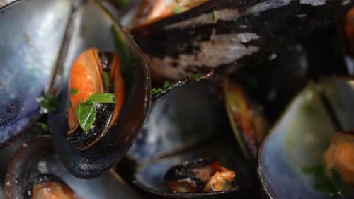 Mussels 24