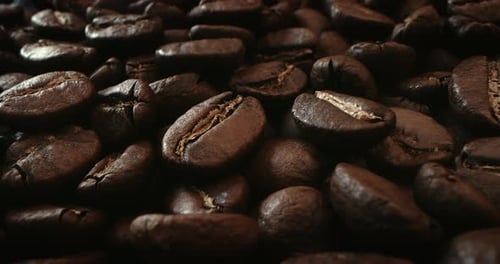 Steaming Roasted Coffee Beans Close Up Macro