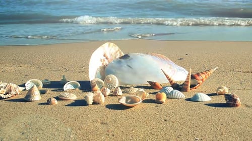 Beach 8