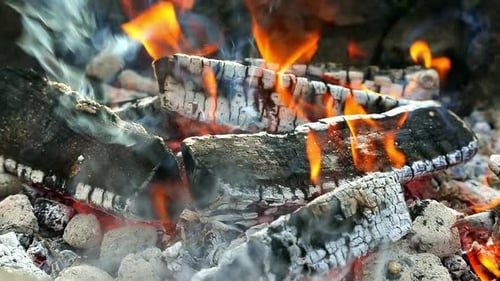 Fire and hot coals in the campfire in summer