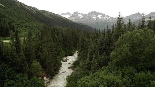 Schwenkansicht eines Flusses, der durch den Wald in Alaska fließt
