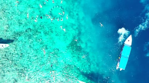 Aerial drone view sky of luxury bay beach adventure by shallow water with white sandy background of