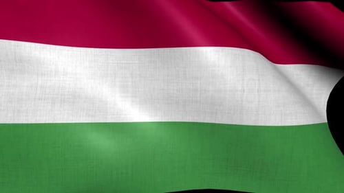 Realistic Waving Hungary Flag Seamless Loop