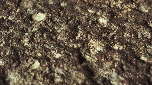 Closeup of Dirty Ground Road