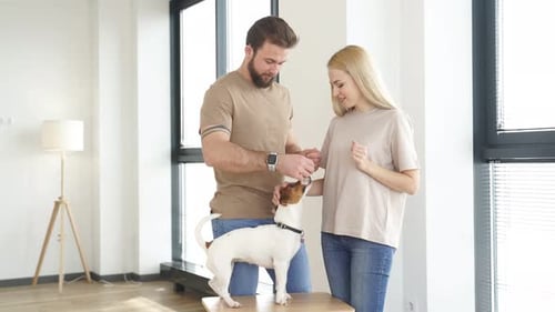 Couple Pets Their Dog Inside Bright Home