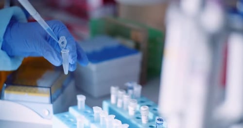 Scientist Using Pipette in a Laboratory Close Up