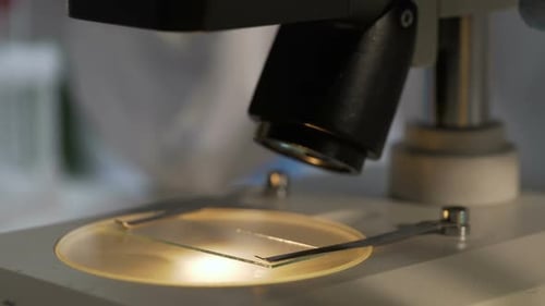 Biologist Adjusting Microscope Slide and Changing Light to Get Better View