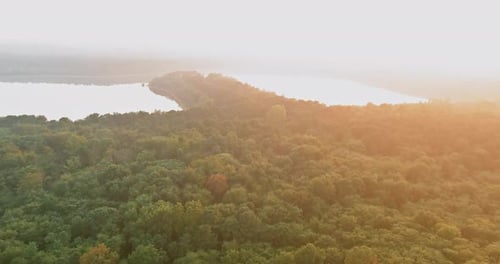 The Forest Lake is Blanketed in a Foggy Sunrise Morning Mist in a Panoramic Aerial View