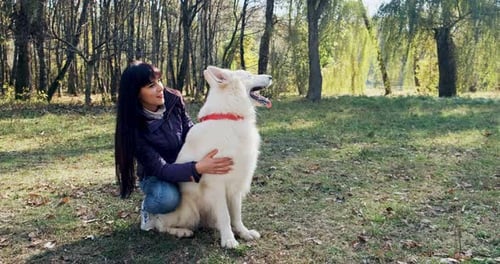 Happy Female Cheerfully Playing and Sitting with Dog in the Autumn Park. Love and Friendship with