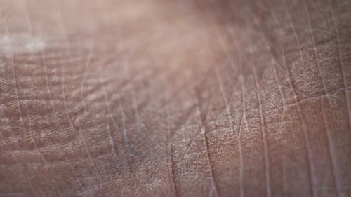 Macro View of Human Skin Texture
