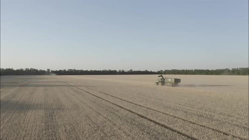 Un wagon pour le transport du grain se déplace dans les champs