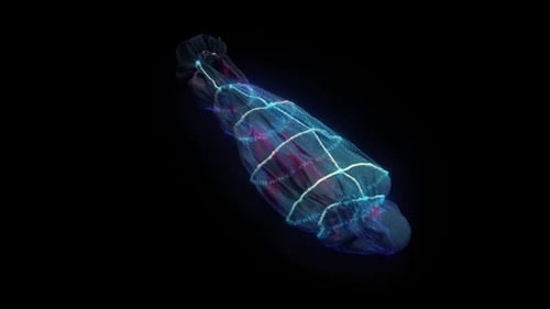 Human Corpse Hud Hologram Hd