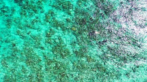 Beautiful above abstract shot of a sandy white paradise beach and blue ocean background in colorful