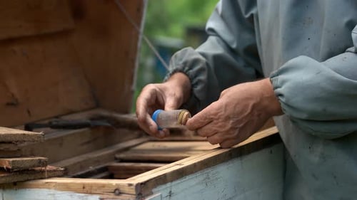 Beekeeper tending to bee colony in rural setting