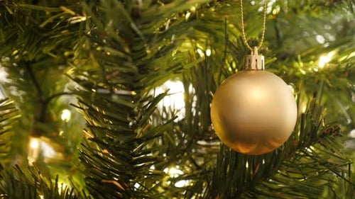 Christmas Tree Decorated with Golden Ornament and Lights
